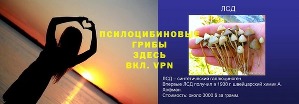 стаф Абаза