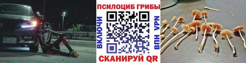 Псилоцибиновые грибы MAGIC MUSHROOMS  darknet телеграм  Тырныауз  мега как зайти 